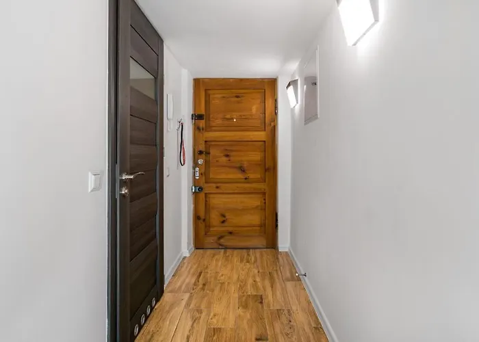 Sunny - Billberry Sopot