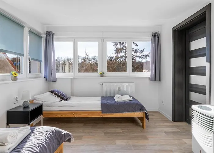 Daire Sunny - Billberry *