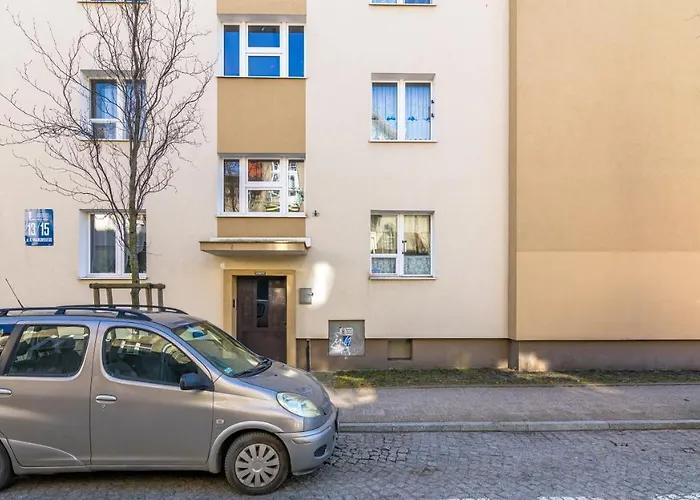 Daire Sunny - Billberry *